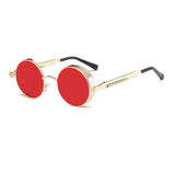 Retro Designer Biker Sunglasses